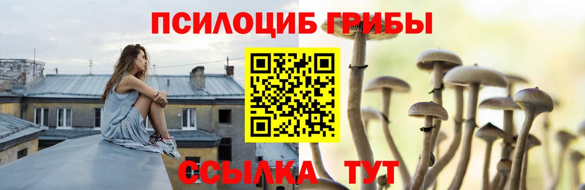 Псилоцибиновые грибы Cubensis Лянтор
